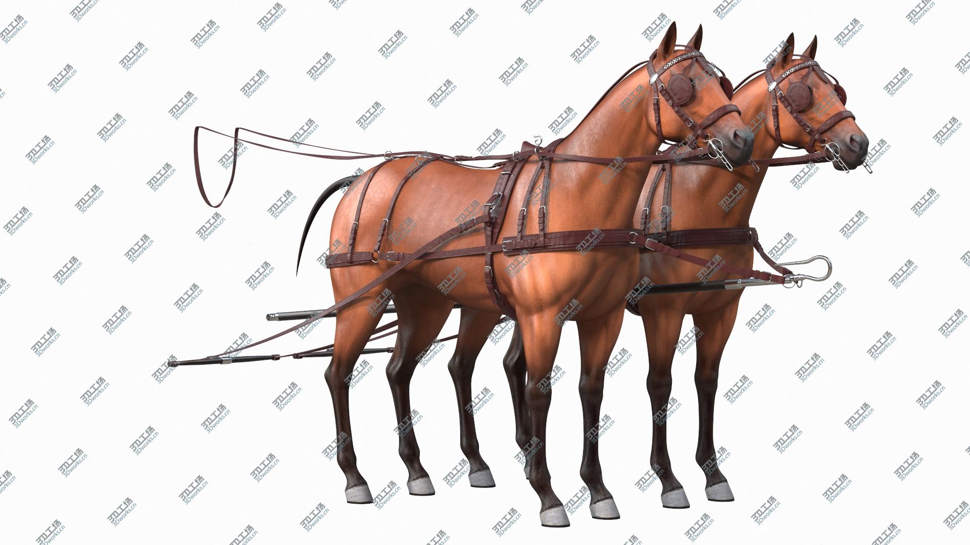 images/goods_img/20210313/Pair of Breast Collar Harness 3D/3.jpg